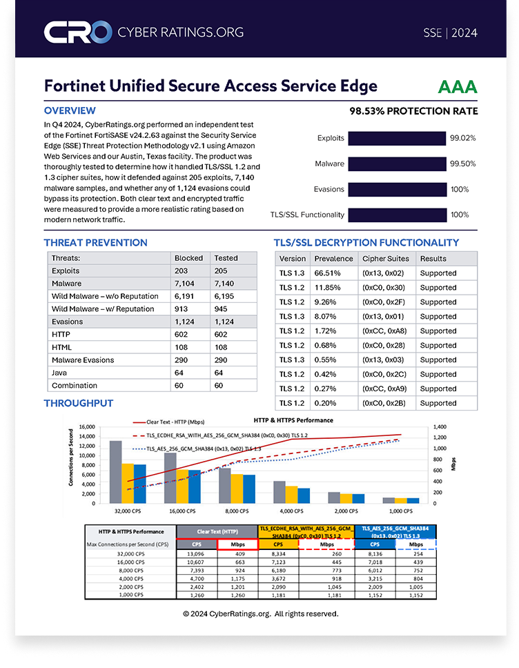 2024 Q4 SSE Report – Fortinet